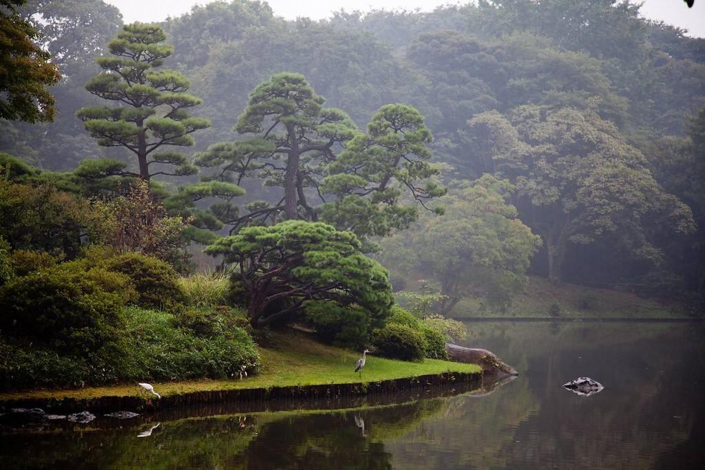 Tora Hotel Tokyo-Rikugienn 寅ホテル 六義園 A Exterior photo